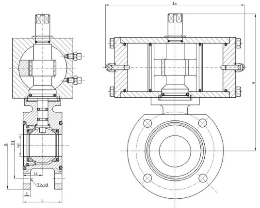 ����p���m���y�Y���D